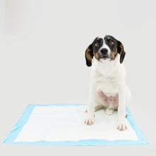 Load image into Gallery viewer, Pet Potty Training Pads for Dogs Quick Absorb, 22&quot; x 22&quot; 100 Count